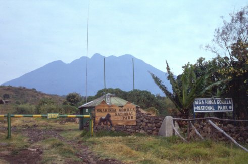 Volcanos of the Virunga chain.