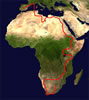 Thumbnail Image 1