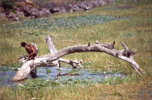 Fishing in Lake Awasa