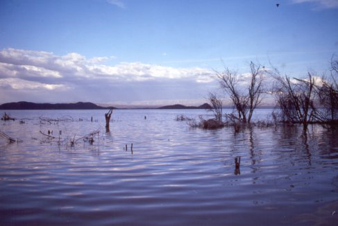 Lake Baringo