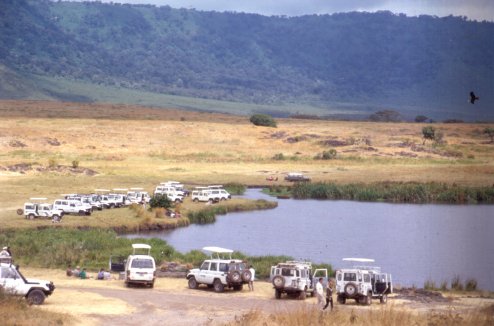 Ohhh Ma! look at alll the rare white Toyotas