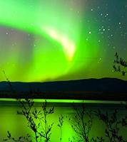 Thumbnail Image 1