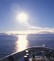 Thumbnail Image 1