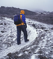 Thumbnail Image 1