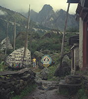 Thumbnail Image 1