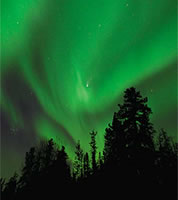 Thumbnail Image 1